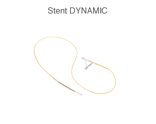 Stent Dynamic